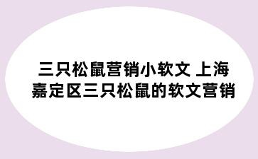 三只松鼠营销小软文 上海嘉定区三只松鼠的软文营销